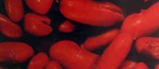 Fagioli rossi kidney