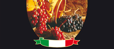 Balsamic vinegar of Modena