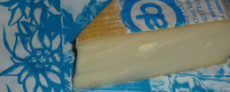 Taleggio cheese